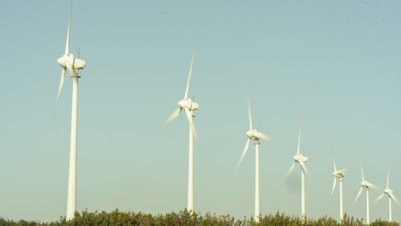 Groene stroom: wat staat er eigenlijk op het stroometiket?