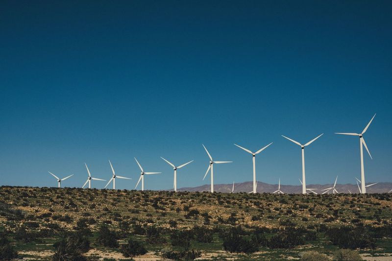 Een kleine, groene energieleverancier kiezen: waar ik op lette